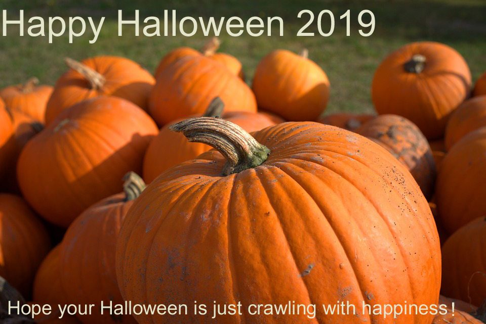   Happy Halloween 2019 Image